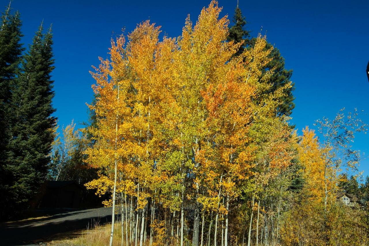 Aspen Village Golf Course Condo - Snowshoes McCall Zewnętrze zdjęcie